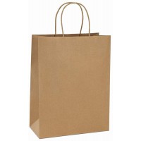 PAPER S/B SMALL 10X5X13 (250) CODE# BAGPHDEBBIE